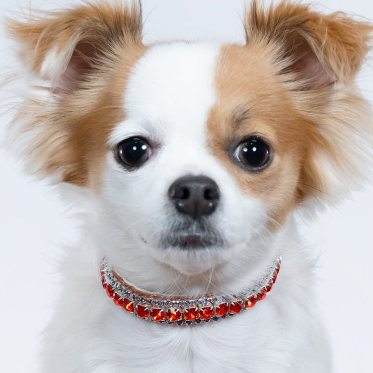Royal Flame Crown Collar