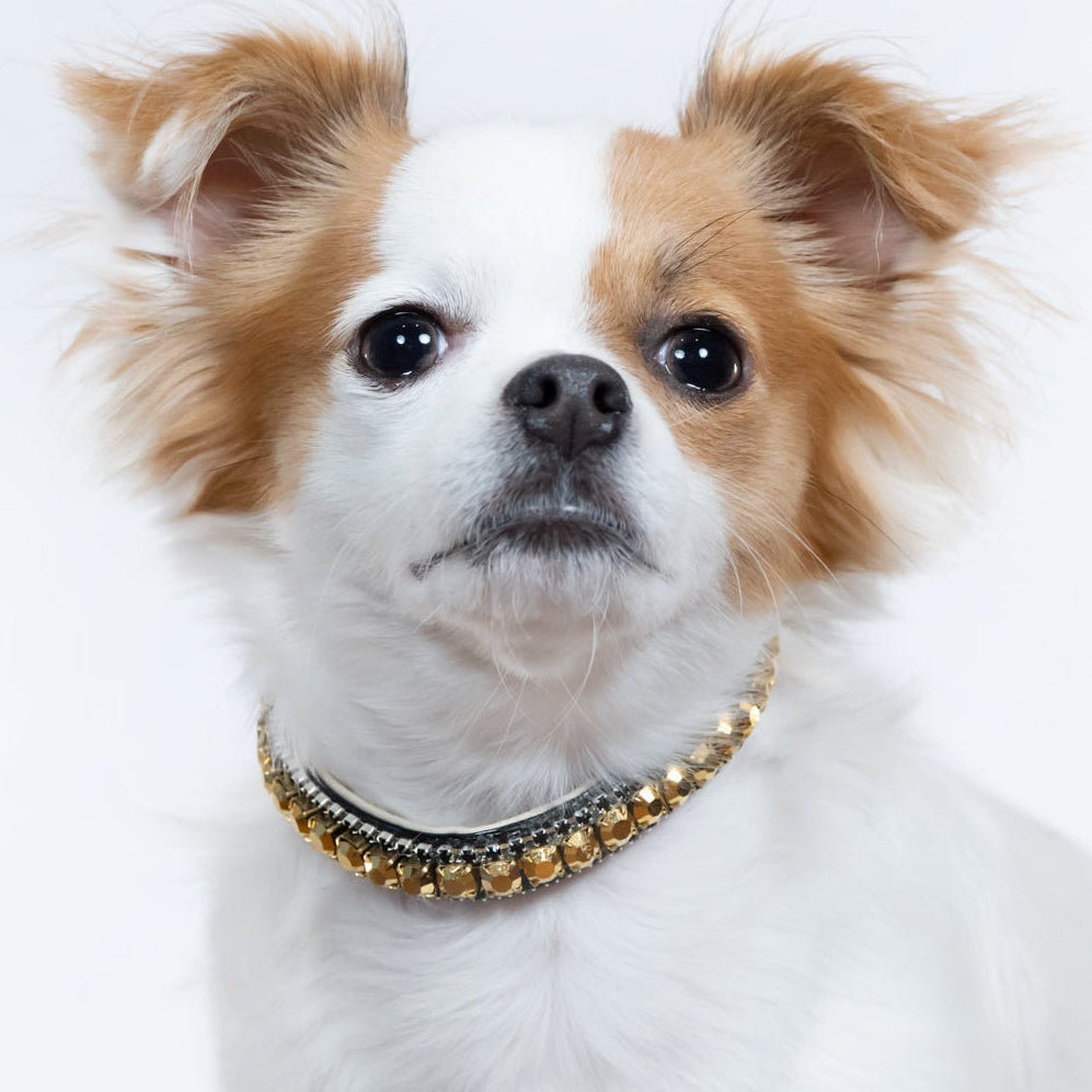 Golden Palace Jewel Collar