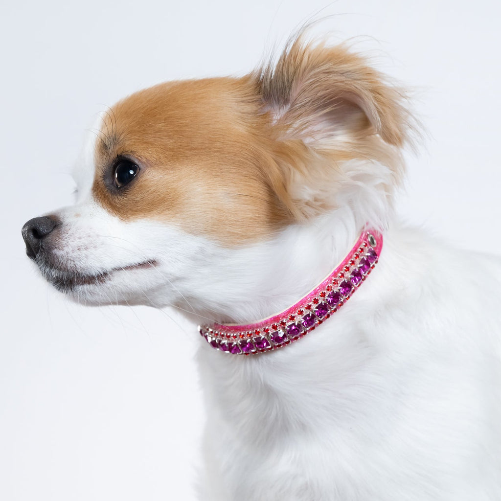 Royal Majesty Pink Saphire Collar