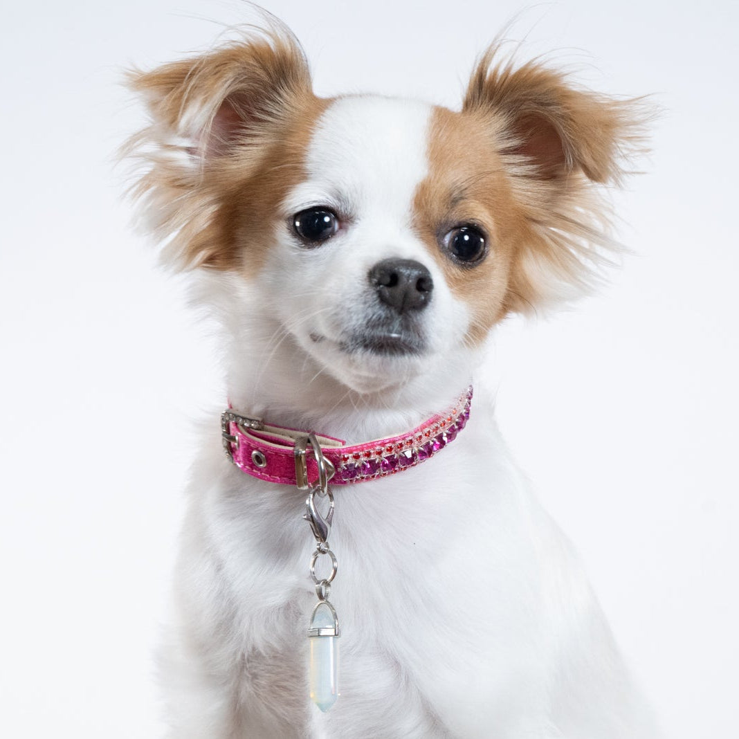 Royal Majesty Pink Saphire Collar