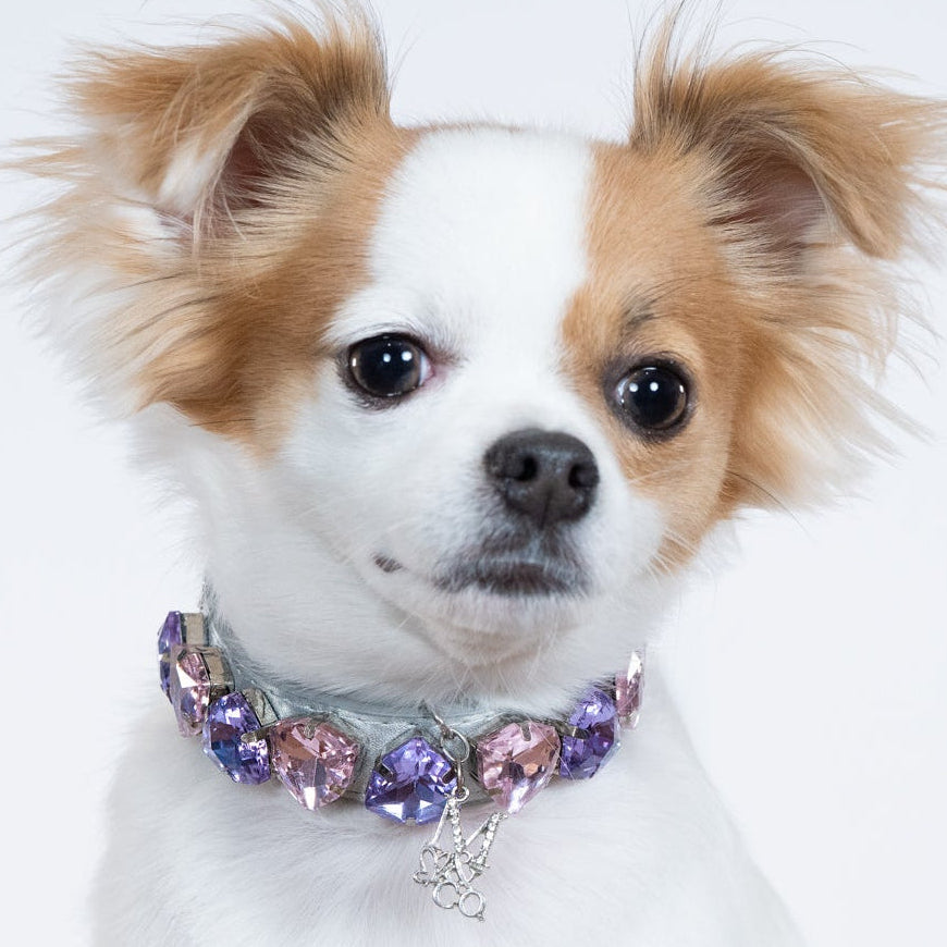 TRILLION GEM NECKLACE: DREAMS DO COME TRUE