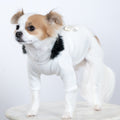High Society Sweater