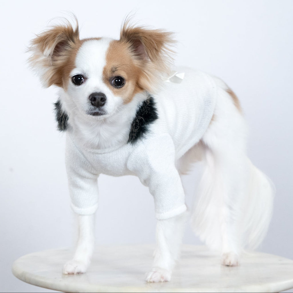 High Society Sweater