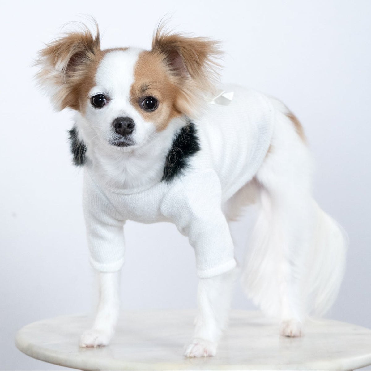 High Society Sweater