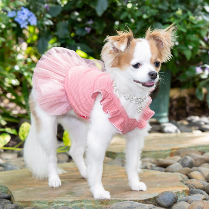 Fairy Sleeve Luxury Cotton Dress