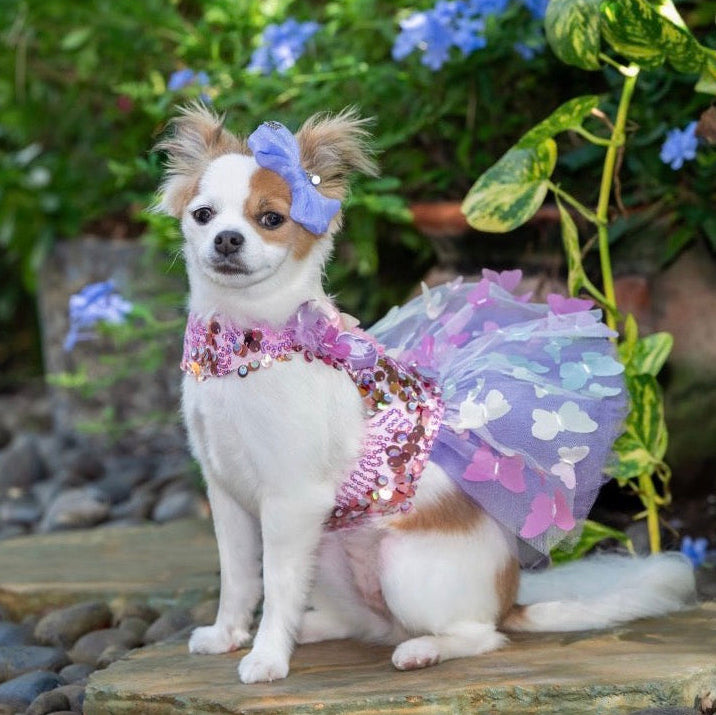 Butterfly Garden Luxury Harness Dress