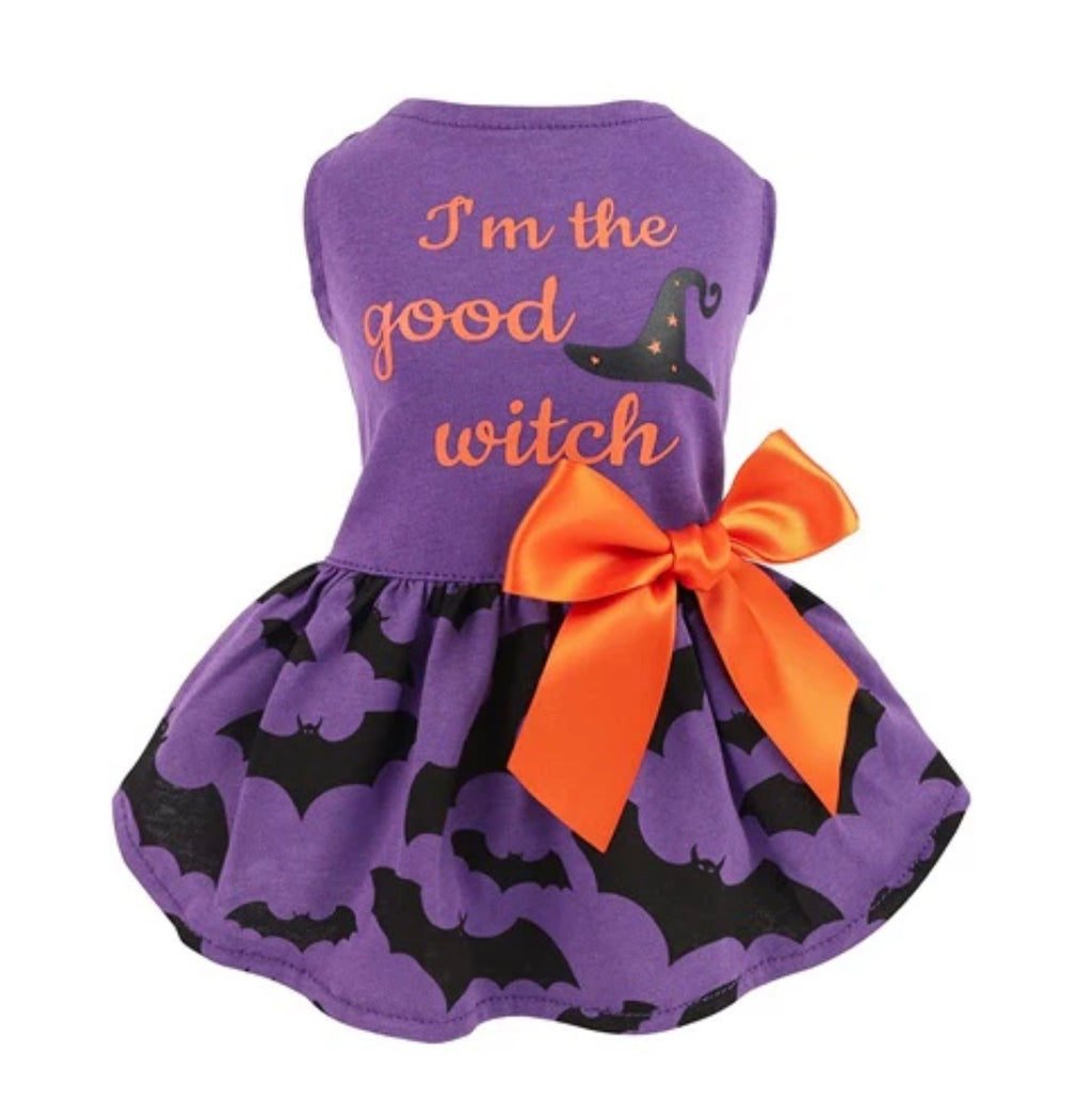 I Am The Good Witch Halloween Dress