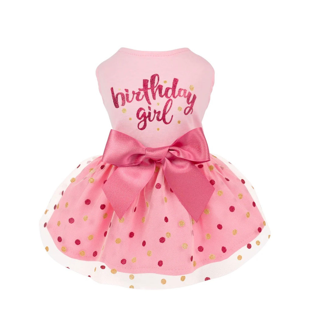 Birthday Girl Tulle Dress