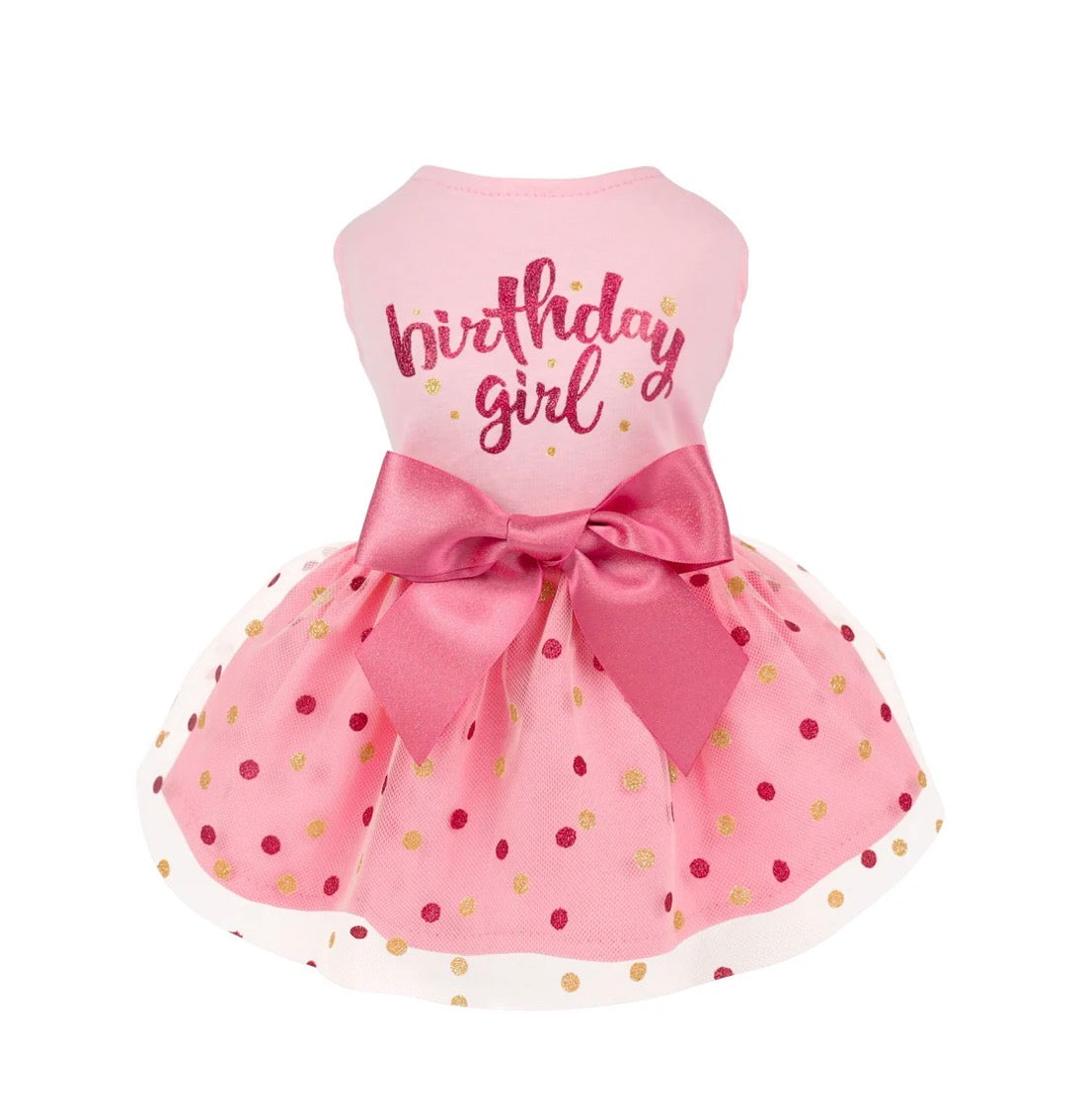 Birthday Girl Tulle Dress