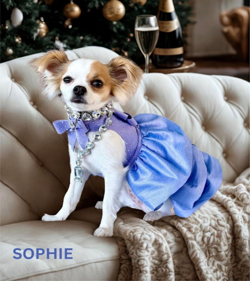 PAW PRINTS MAGAZINE
