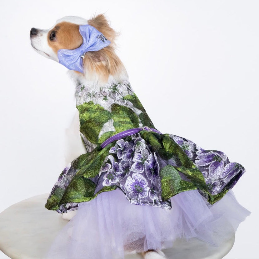 Lavender Party Dress
