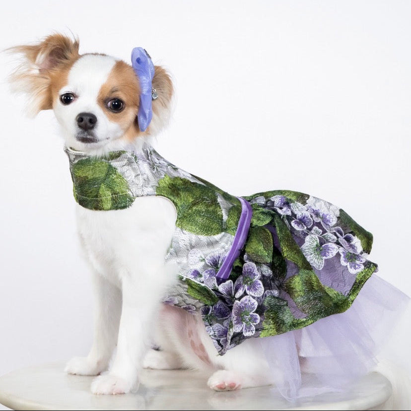 Lavender Party Dress