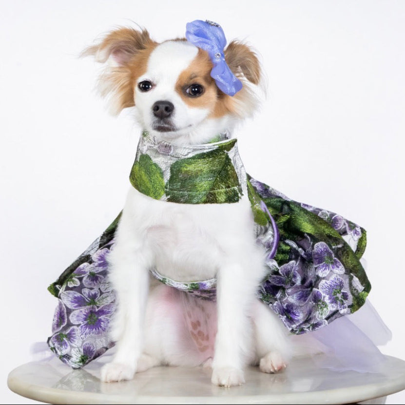 Lavender Party Dress
