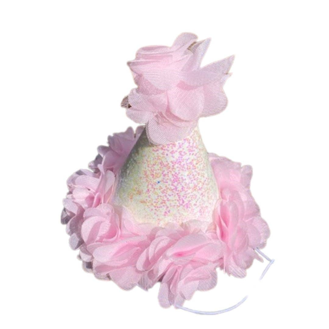 Birthday Princess Party Hat
