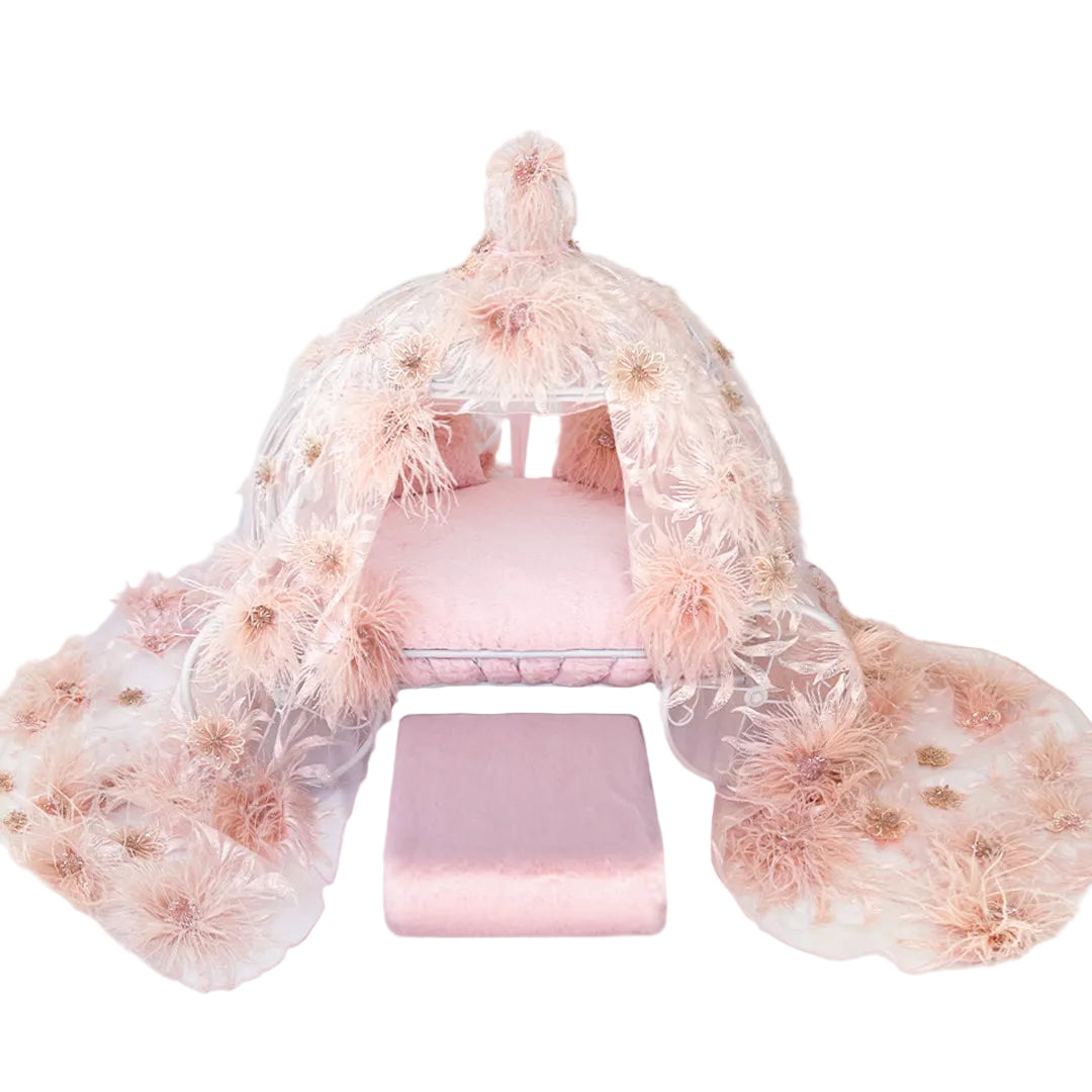Moulin Rouge Luxury Dog Carriage