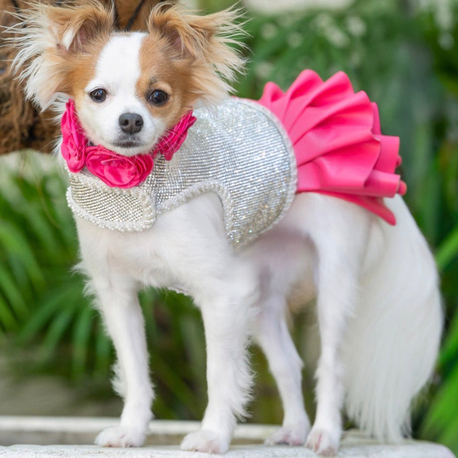 Electric Pink Ruffle Skirt
