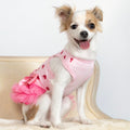 Shimmering Heart Tutu Dog Dress