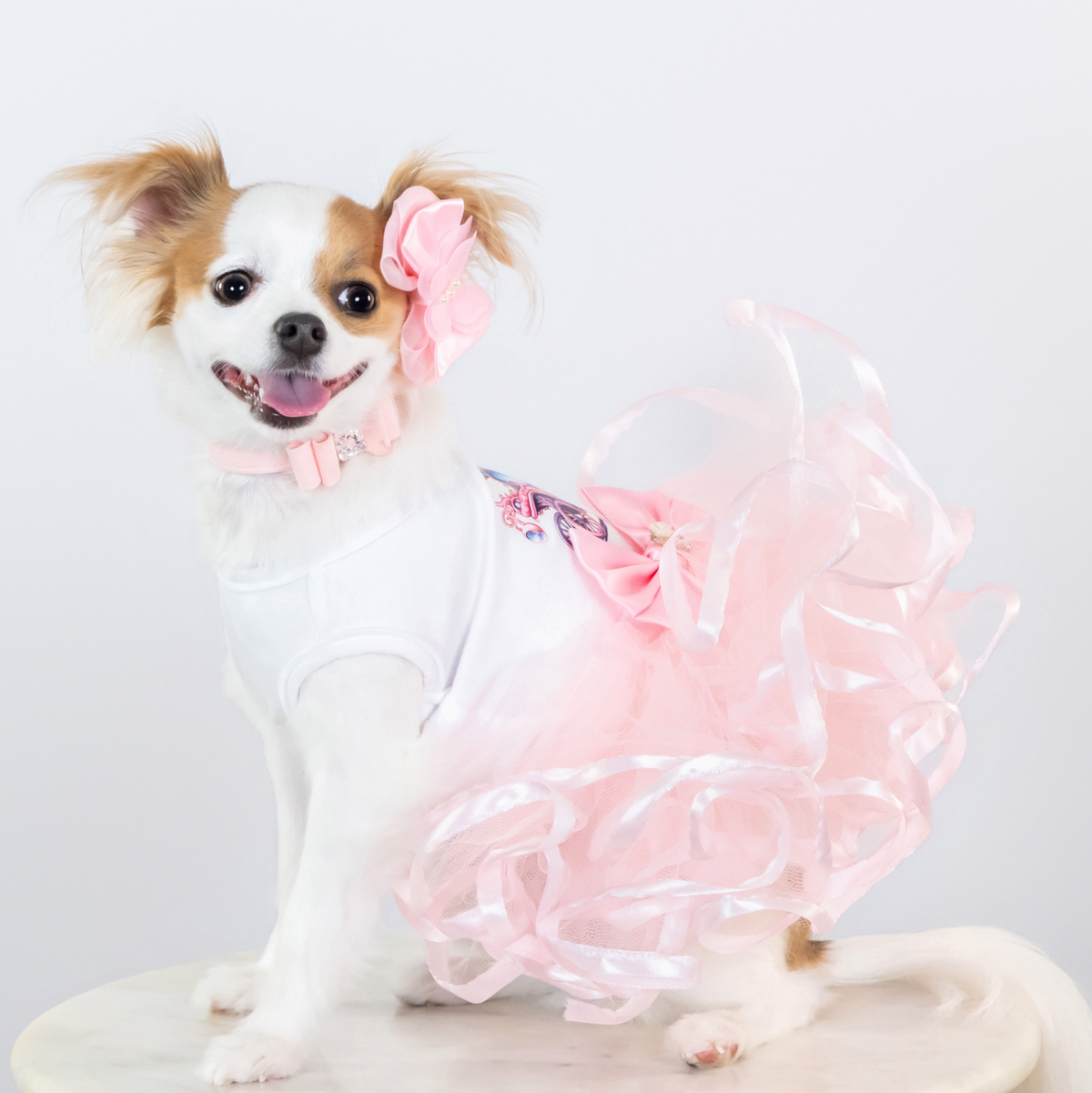 Goddess Dog Tutu Collection - In 3 Curated Styles