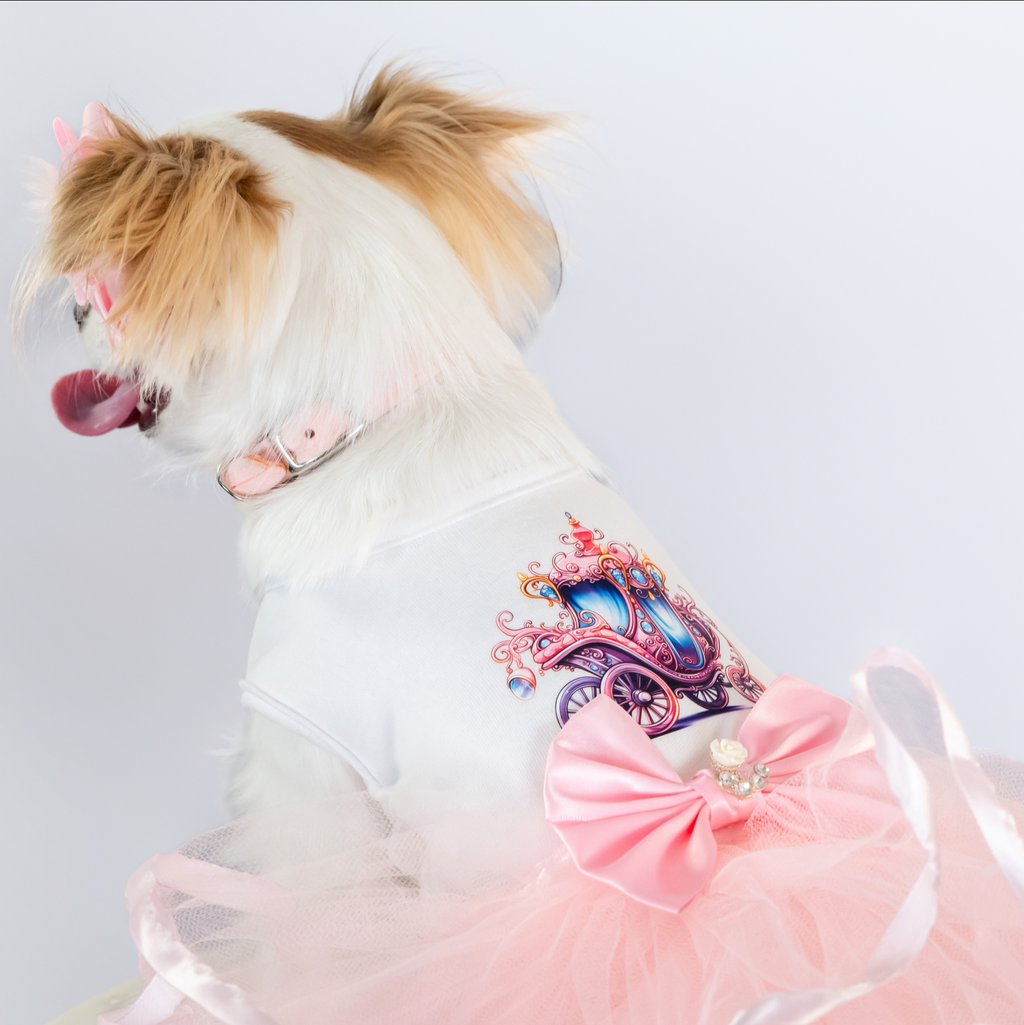 Goddess Dog Tutu Collection - In 3 Curated Styles