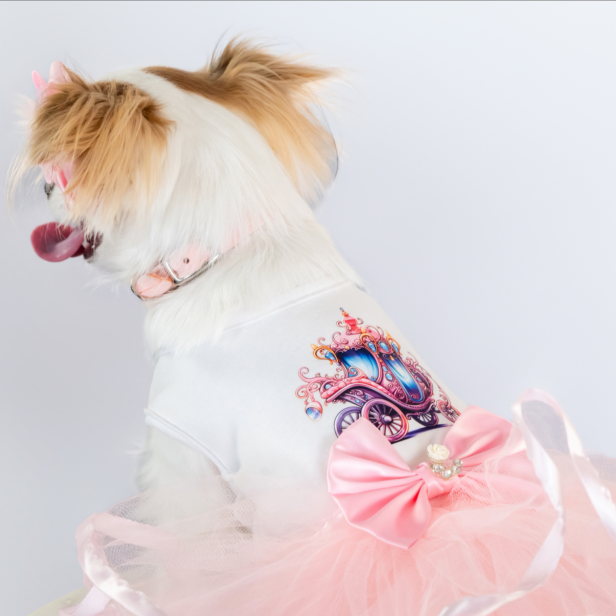 Goddess Dog Tutu Collection - In 3 Curated Styles
