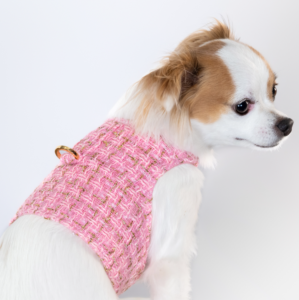 Chantel Tweed Harness - Available in 5 Curated Colorways