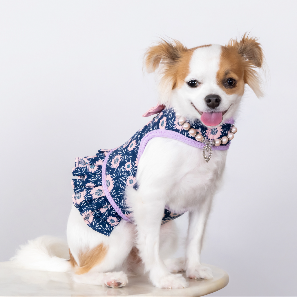 Midnight Blossoms Harness Dress