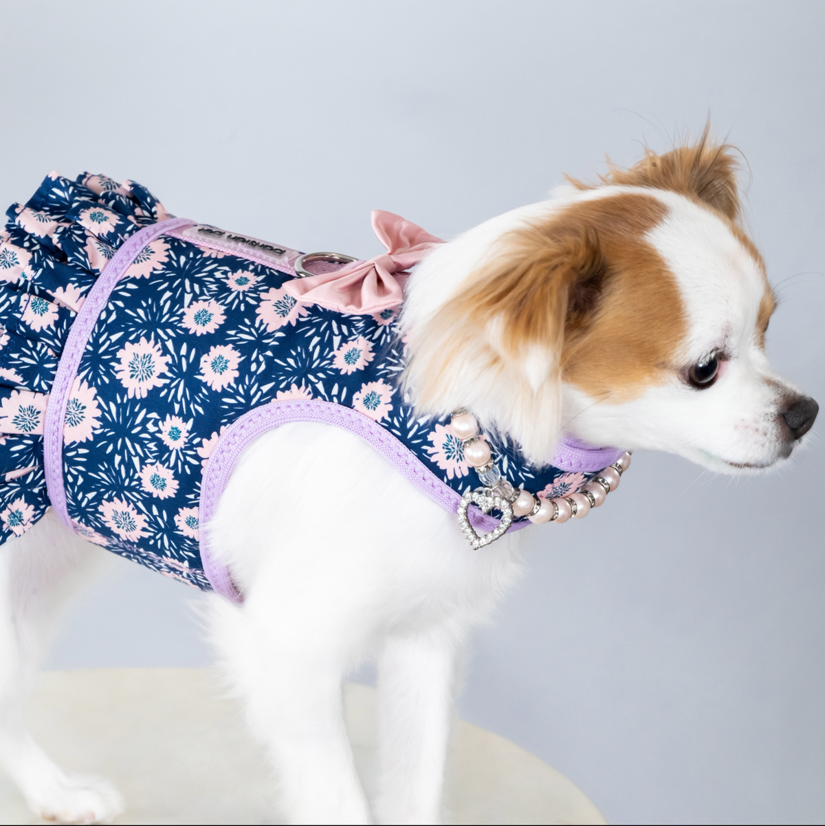 Midnight Blossoms Harness Dress