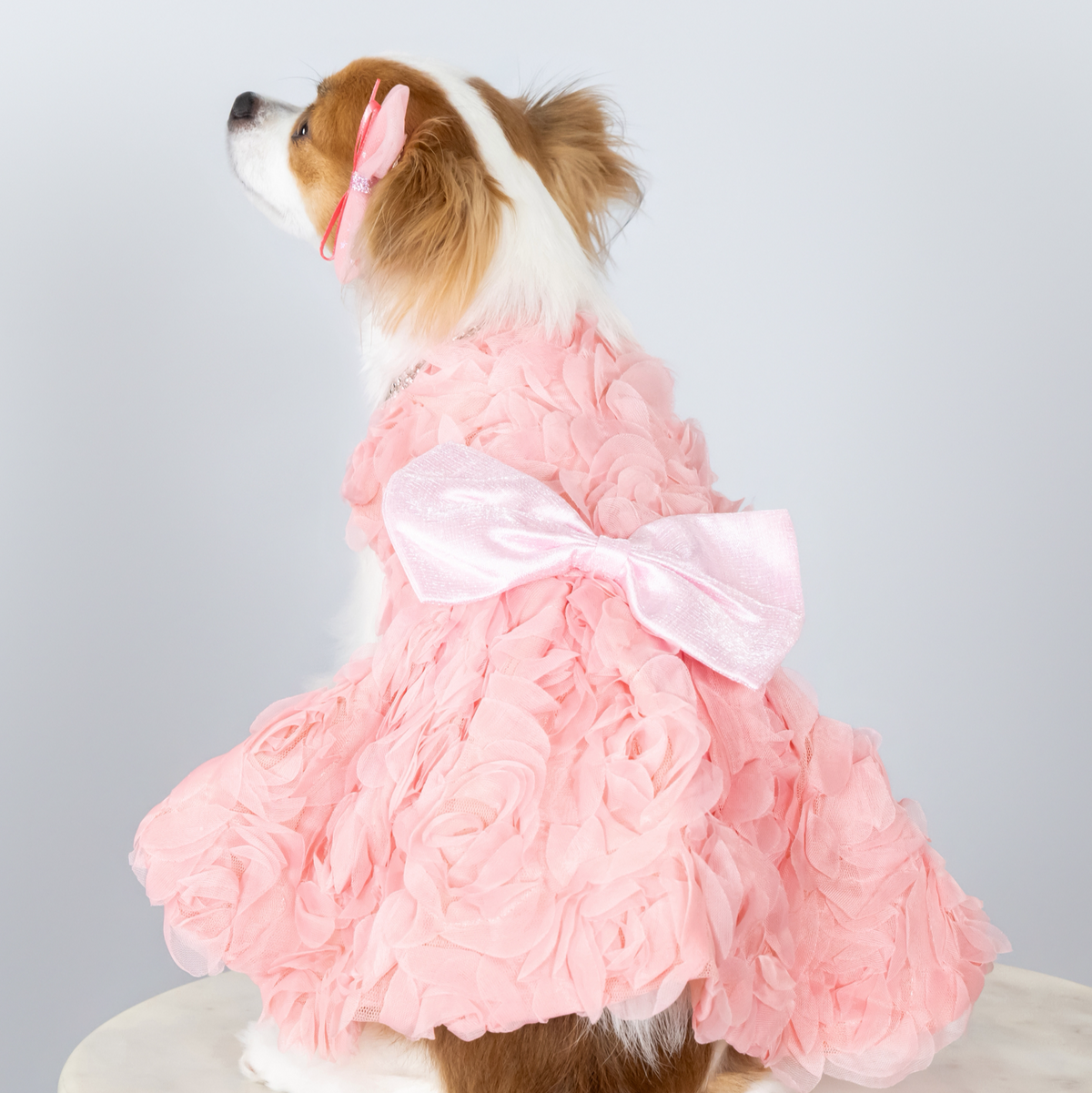 Princess Rose 3D Flower Couture Dress