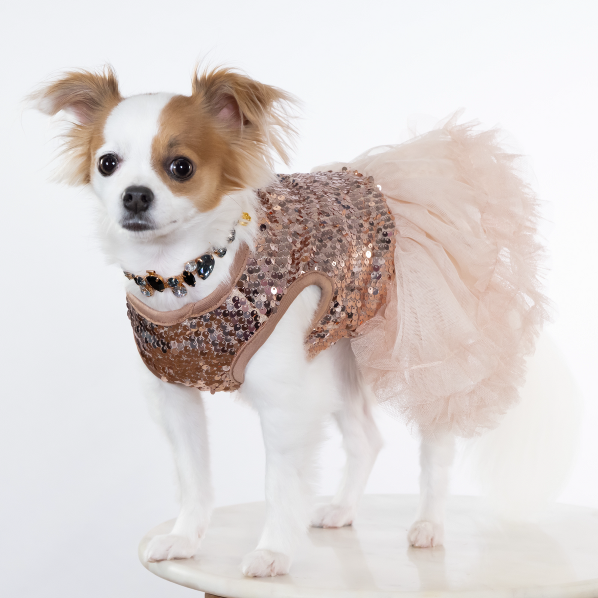Glitter Sequin Tutu Holiday Dog Dress - In 2 Curated Colorways