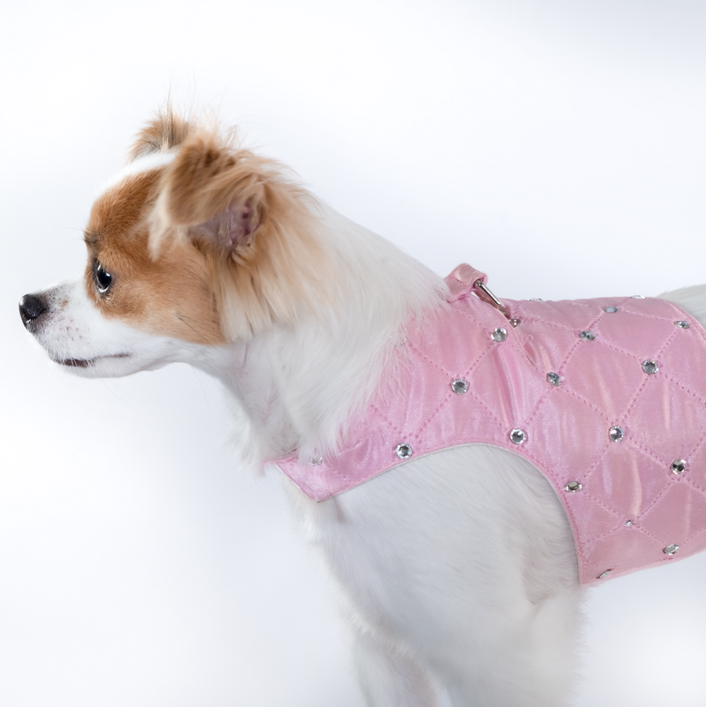 Glamour Baby Harness - In 3 Curated Colorways