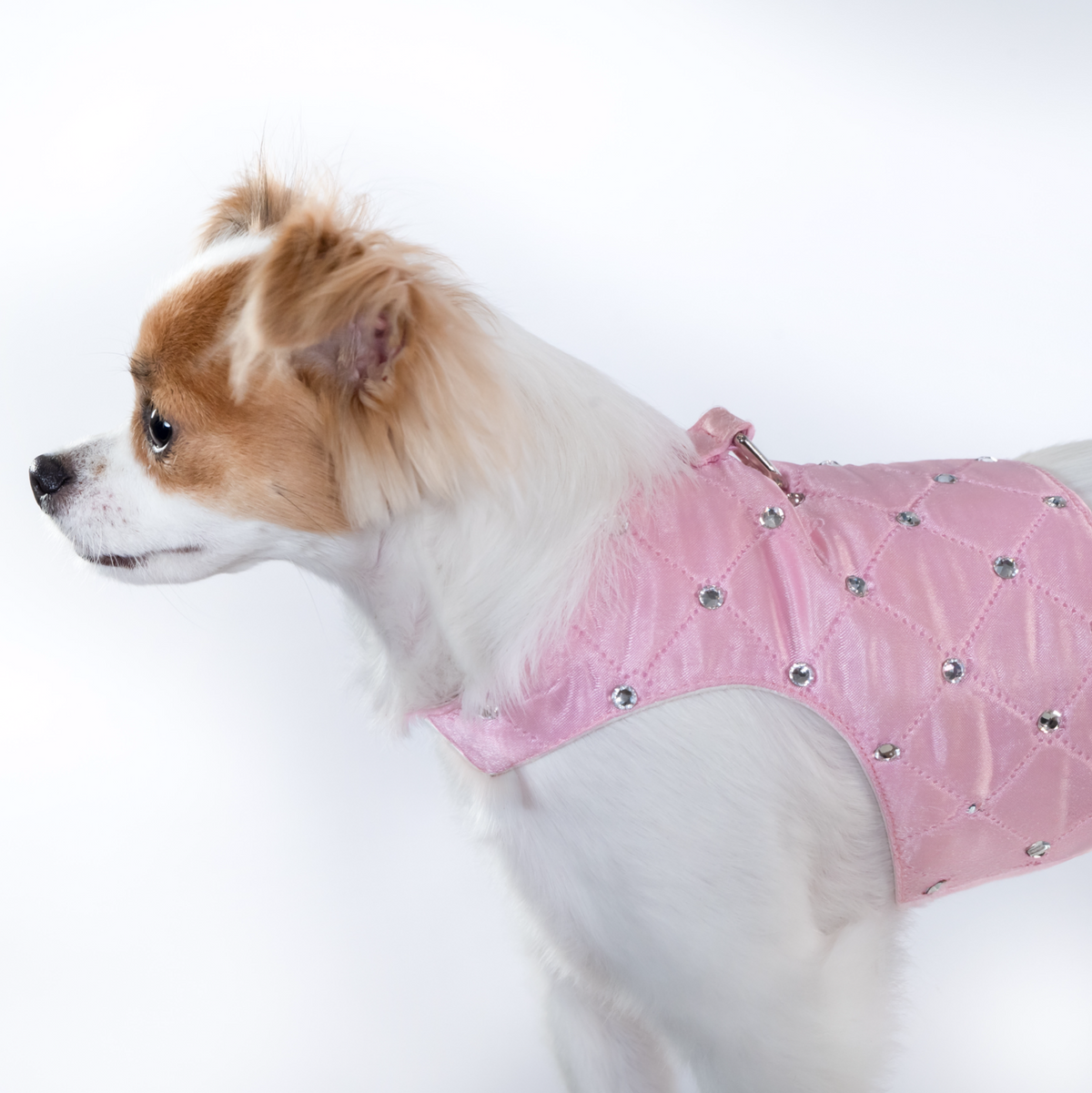 Glamour Baby Harness - In 3 Curated Colorways