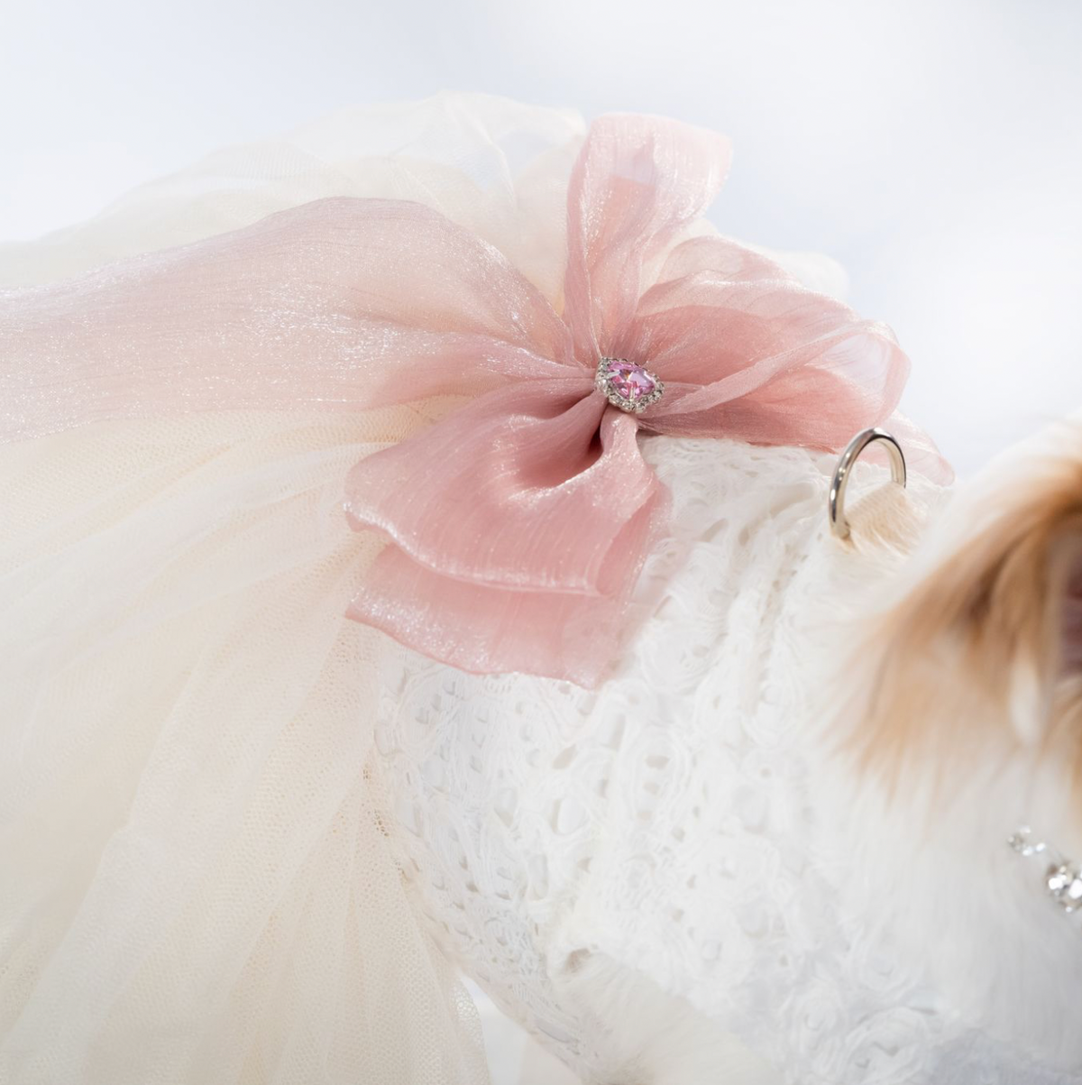White Couture Wedding Dress