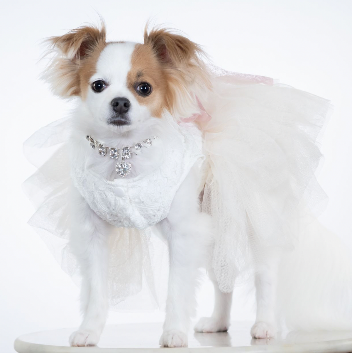 White Couture Wedding Dress