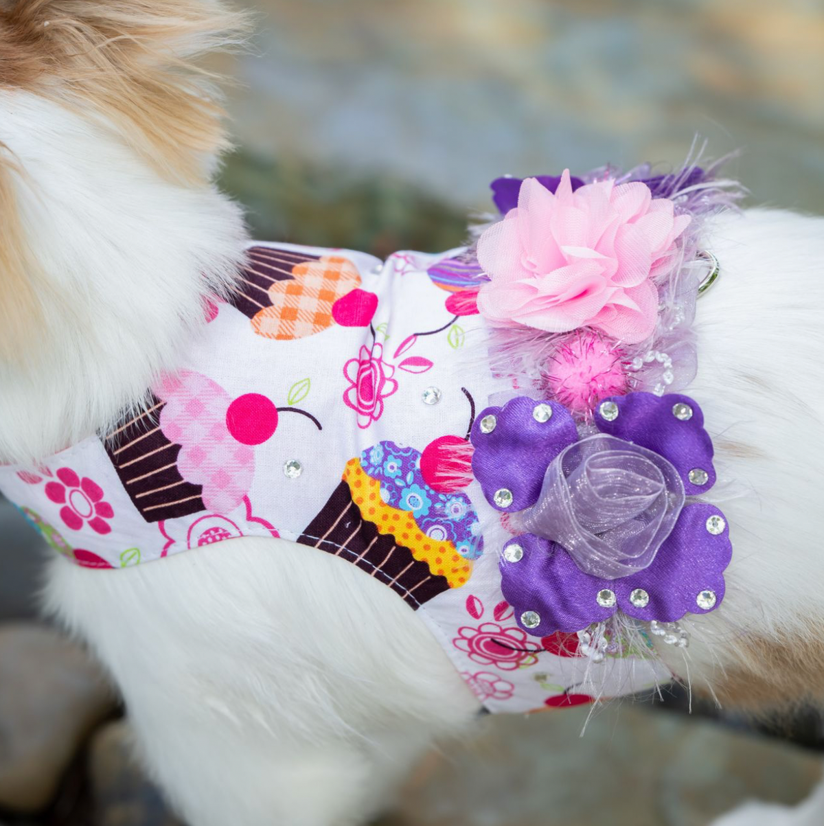 Cupcake With A Cherry On Top Luxury Dog Harness