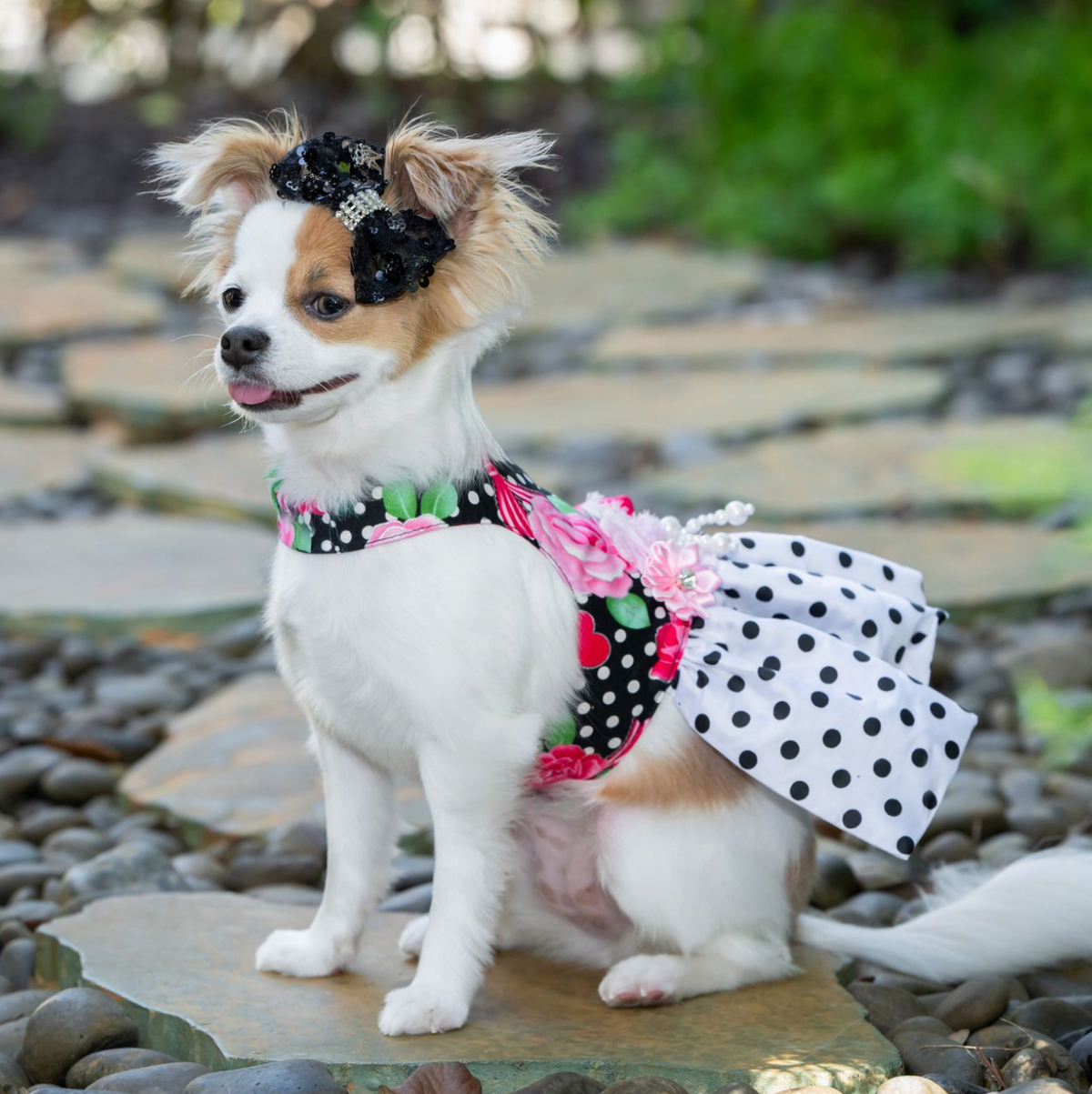 Love Polka Dot Harness Dress