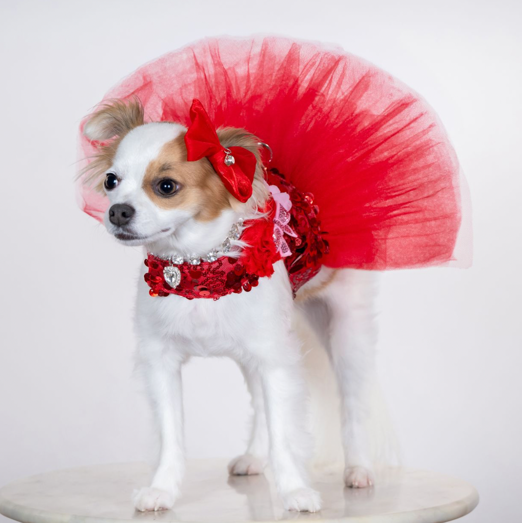 Red Sparkle Couture Dog Dress