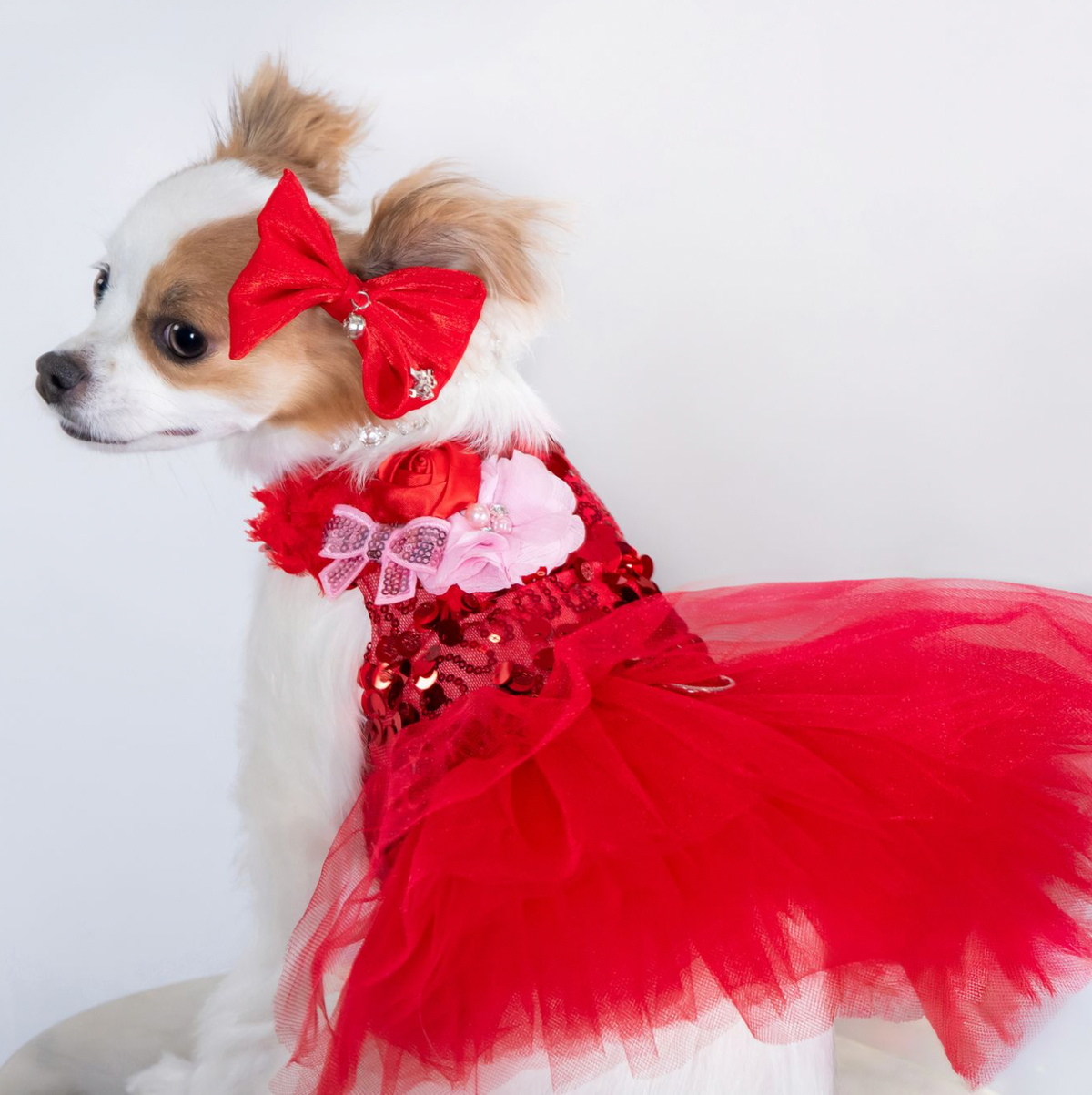 Red Sparkle Couture Dog Dress