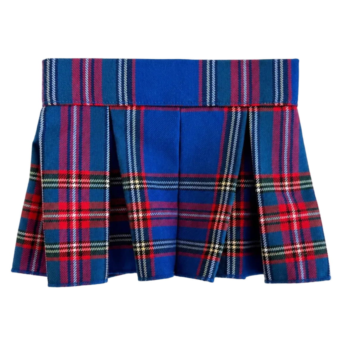 Plaid Skirt