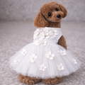 Ceremony Dress - In 4 Curated Colorways