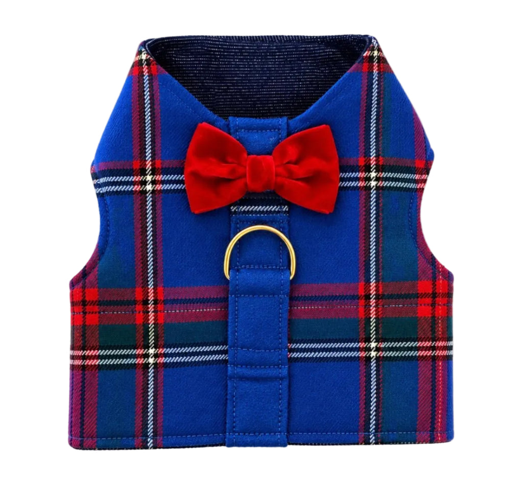 Red & Blue Plaid Harness