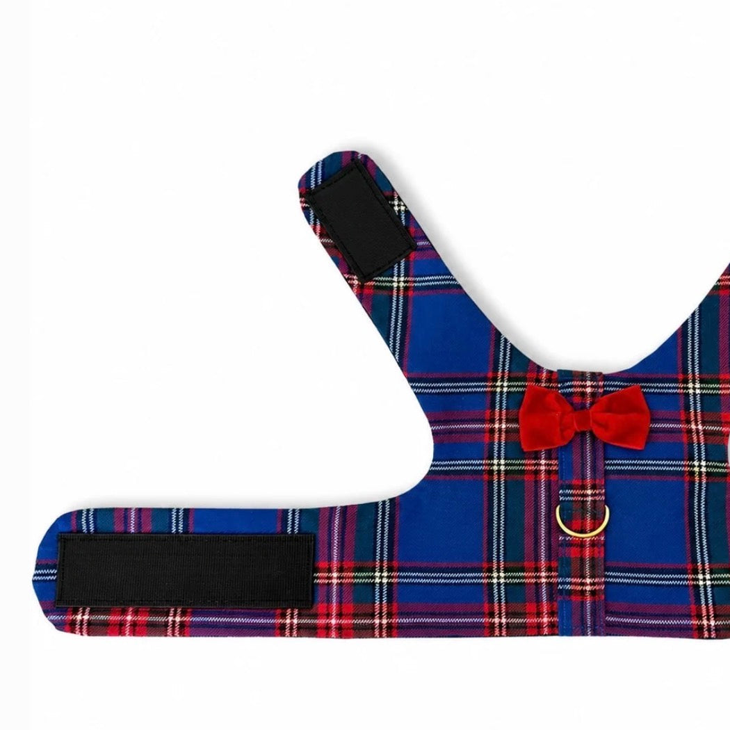 Red & Blue Plaid Harness
