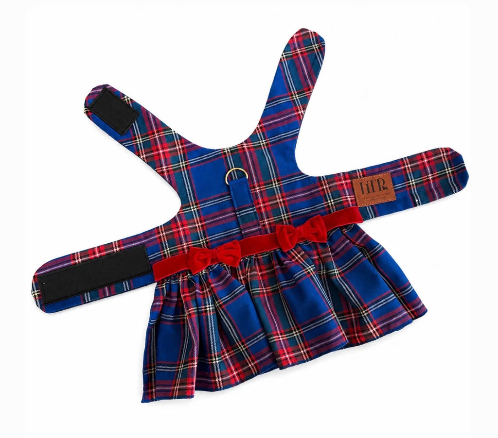 Red & Blue Plaid Dress