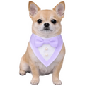 Purple Ceremony Tuxedo Bandana