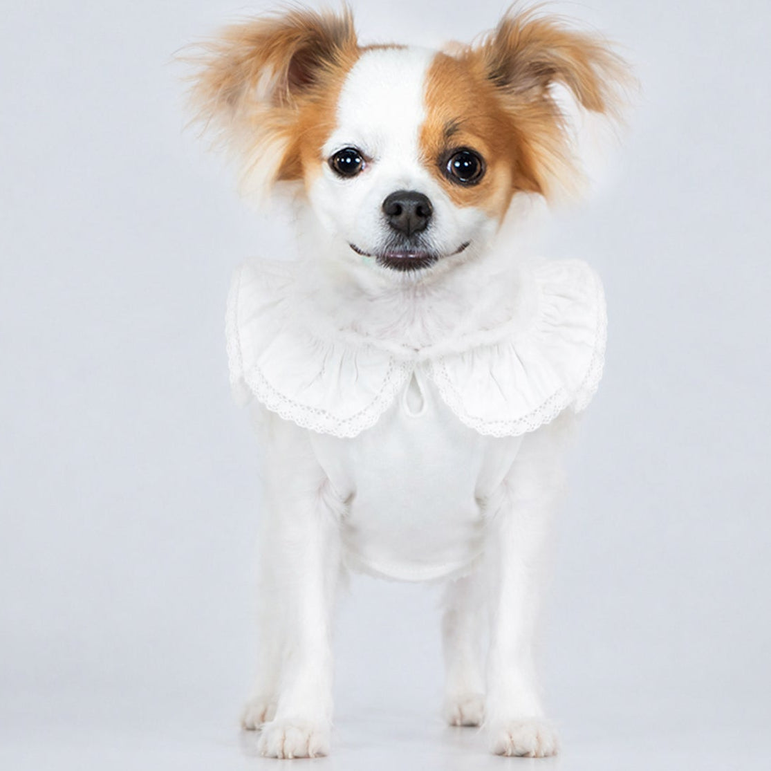 White Ruffle Lace Top