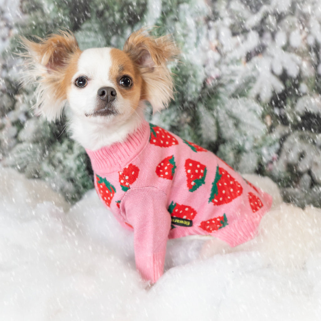 Sweet Strawberry Knit Sweater