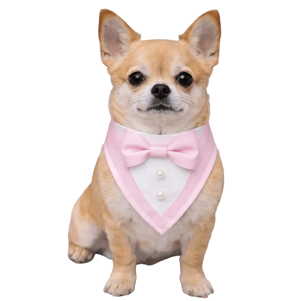 Pink Ceremony Tuxedo Bandana