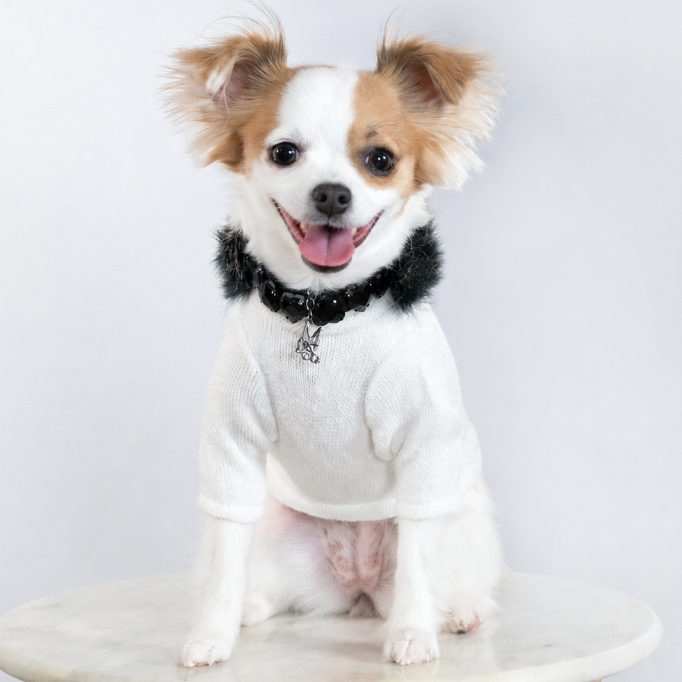 High Society Sweater