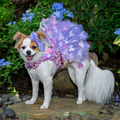 Butterfly Garden Luxury Harness Dress